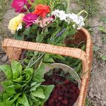 Iris Schulte - @grabeglueck - Instagram
