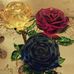 Iris Schultze - Facebook
