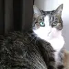 irisschultz940 - @irisschultz940 - TikTok