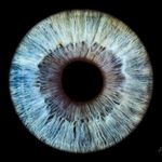 Iris Schulz - @motte1202 - Instagram
