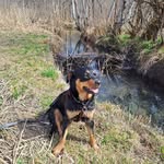 Iris Schuster - @schuster9705 - Instagram