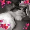 Iris Schuster - @eifelhexe5 - TikTok