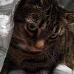 Iris Schwab - @irisschwab - Instagram