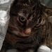 Iris Schwab - Facebook