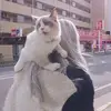 Iris Seidel113 - @irisseidel - TikTok