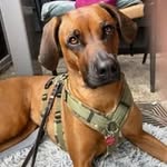 Iris Seidel - @iriseidel - Instagram