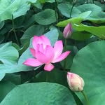 Iris Shih - @rich_mind_iris - Instagram