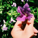 iris - @irisshirley.photography - Instagram
