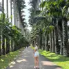 irisschoenmakers - @iris.schoenmakers_ - TikTok