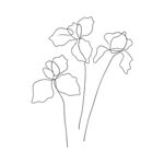 Iris_shore - @irisstore204 - Instagram