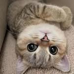 Ириша Шурбина - @irisha_shurbina - Instagram