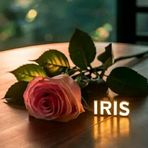 Iris Singh - Facebook