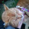😜Nalla💖 - @irissorensen - TikTok