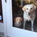 Iris Stephens-Spieker - @stephensspieker - Instagram