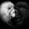 Iris... Story - @iris..story - TikTok