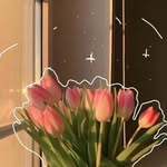 IrisStory____008 - @irisstory____008 - Instagram