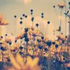 🌹Ãęšthętįçš🌹 - @iris_taylor - TikTok
