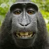 user2766279296805 - @iristhornton63vimm - TikTok