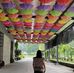 Iris Tong - Facebook