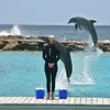 Iris Toren - @iristoren - TikTok