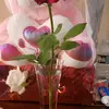 Iris Torres - @iris.torres918 - TikTok