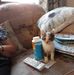 Iris Townsend Stewart - Facebook