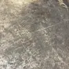 Iris Tran - @iris.tran14 - TikTok
