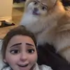 Iris Trevino - @user77911009 - TikTok