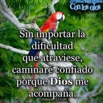 Iris Villar Villar Barba - @irisvillarvillarbarba - Instagram