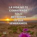 Iris Villatoro - Facebook