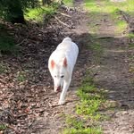 Iris Harea Walter - @alina.iris.walter - Instagram