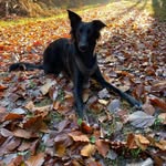 Iris Walter - @_silken_windsprite_story_ - Instagram