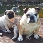 Iris Walter - @wirisli - Instagram