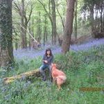 Iris Milward - @irismilward - Instagram