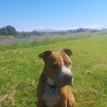 Iris Ward - @irisward65 - Instagram