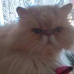 Iris Werner - @werner_iris - Instagram