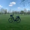 Iris Werner - @iriswerner0 - TikTok