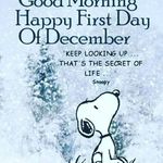 Iris Werner - @werner5586 - Instagram