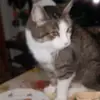 Iris Werner - @iris.werner4 - TikTok