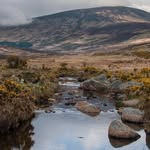 Wicklow Guided Hikes - @irish.wilderness - Instagram
