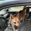 Iris Wiley - @iris.wiley8 - TikTok