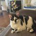 Iris Willoughby - Facebook