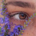 @_iris_wolff - Instagram