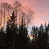 Iris Wyatt562 - @flowerbunniez - TikTok