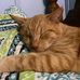 Iris Wyatt - Facebook