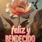 iris zamora - @iriszamora1986 - Instagram