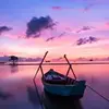 _iris_zhang_ - @_iris_zhang_ - TikTok