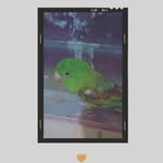 IRMA GRISSELL ALBERTO ZUNIGA - @irmagrissellalberto - Instagram