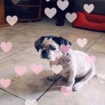 Irma Aleman - @irma.aleman.46 - Instagram