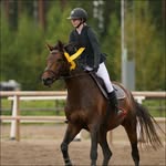 Irma Andersson - @iandersson08 - Instagram